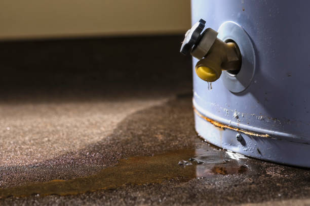 Best 24/7 water damage repair  in Ipswich, SD