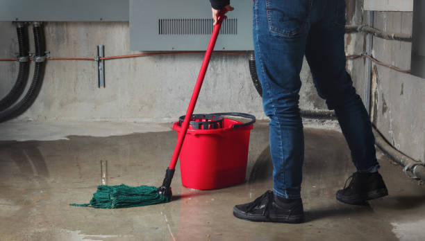 Best Flooded house restoration  in Ipswich, SD