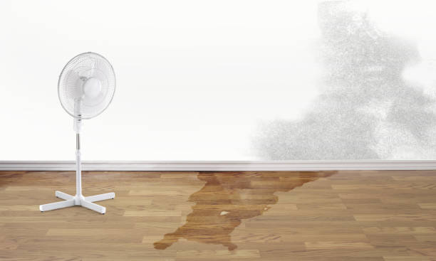 Best Commercial water damage restoration  in Ipswich, SD