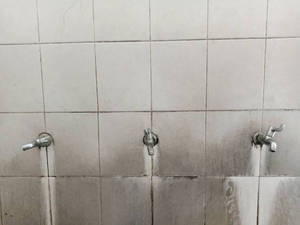 Best Water damage restoration company  in Ipswich, SD