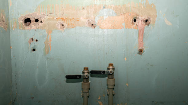 Best Basement water damage restoration  in Ipswich, SD